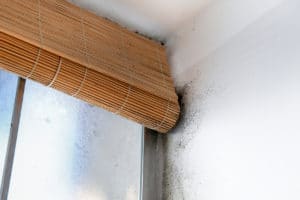 problème d'humidité causant des tâches de moisissure sur un mur.