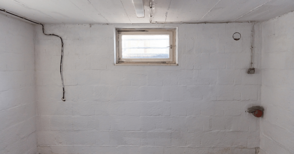 Cave humide guide complet des systèmes de ventilation
