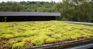 couverture d'une toiture plate recouverte de végétation. toit plat isolé naturellement