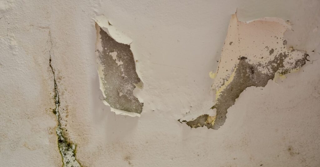 mur abimé à cause d'un problème d'humidité avec peinture qui s'écaille et moisissure