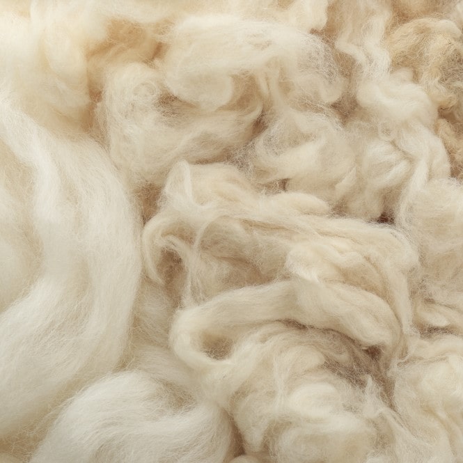 gros plan sur texture de laine de mouton isolante