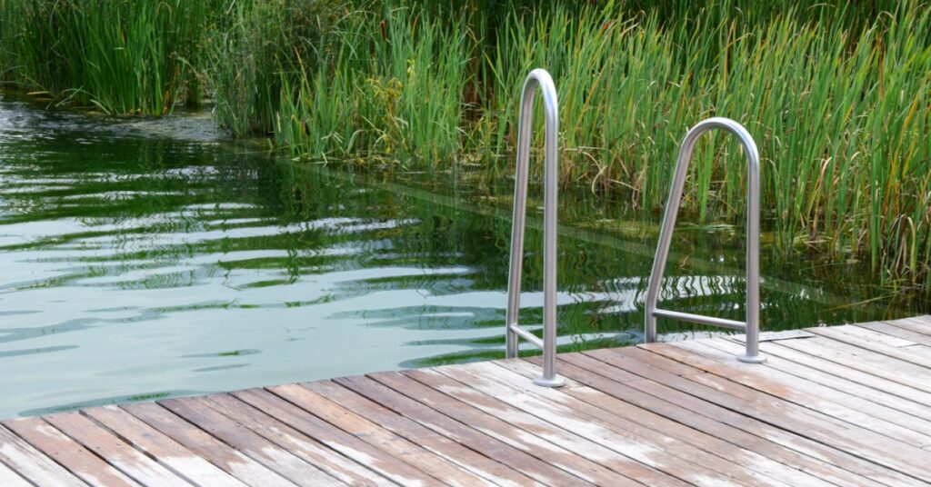 piscine naturelle ou étang avec une terrasse en bois et une échelle