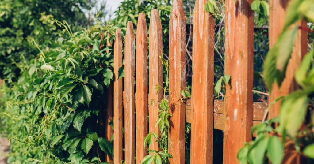 Quelle clôture de jardin choisir ? Comparaison et Prix en Belgique