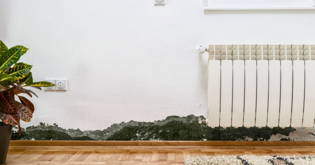 Vue de face d'un mur intérieur de maison : un radiateur est accroché au mur sur la droite, une plante en pot est sur le parquet devant à gauche, et le bas du mur est abîmé par des traces de moisissures. 